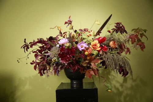 生活分享师必看 花艺设计零售品牌中的水果产品线梳理