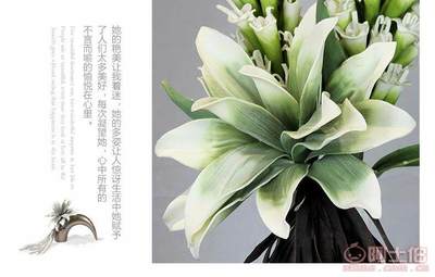 帝恩尼EVA仿真花卉 为现代客厅注入自然之美