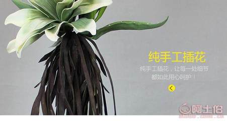 帝恩尼仿真花卉 为家居注入永不凋零的自然美学