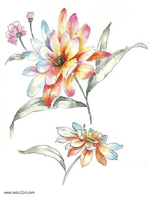 手绘花卉 笔尖绽放的艺术与情感