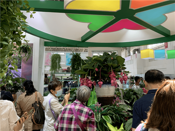 鲜花做土、蓝莓做饺，火出圈的异形盛宴——北京国际花展亮点盘点