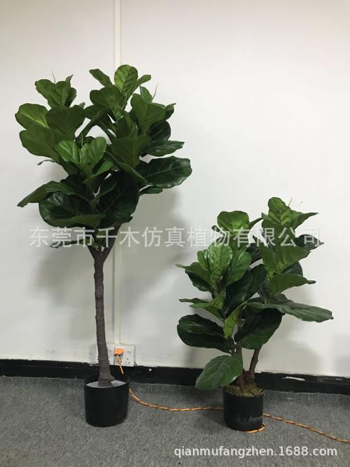 绿意永驻 高仿真琴叶榕——现代家居美学的理想之选