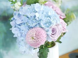 半朵鲜花与水果 静物摄影中的生命律动