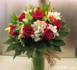 富林花园 您一站式花卉服务专家