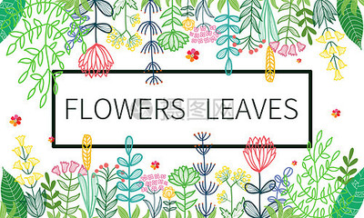 手绘花卉植物插画 自然之美在笔尖绽放